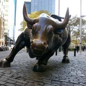 Merrill Bulls